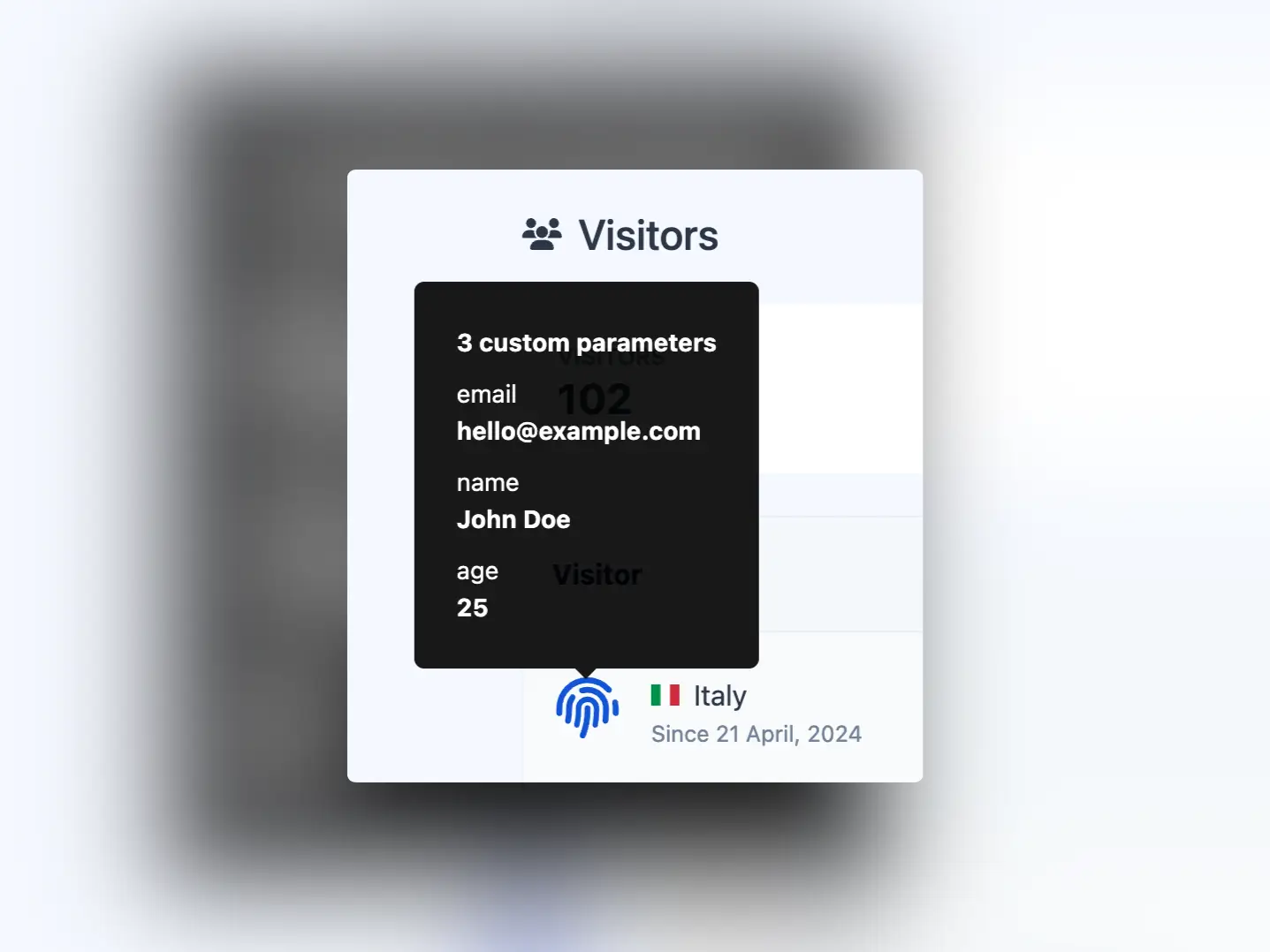 Screenshot of the app visitor custom parameters example